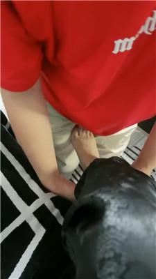 【梦露】监督绿帽奴做家务 JS240819-11-绳艺套路资源网