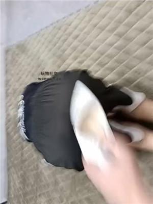 【英英】肉丝脚恋足舔/转胯狗爬/揪耳朵 JS240826-13-绳艺套路资源网