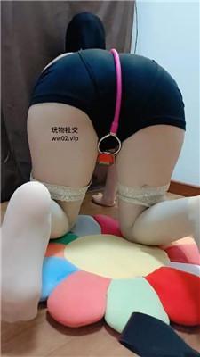 【小蜜蜂】男S-把自己老婆当狗虐 JS241108-27-绳艺套路资源网