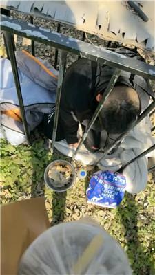 【沅芷大人】女主下班看狗笼圈养奴 JS241106-2-绳艺套路资源网