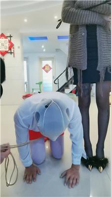 【媚娘工作室】双S-四肢固定彻底犬化训练 JS241125-31-绳艺套路资源网