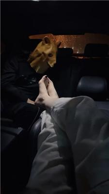 【诗诗】车内玉足恋足舔 JS241120-12-绳艺套路资源网