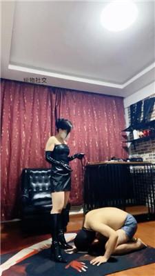 【冷颜】关狗笼/清理长靴/狗链遛狗/脚插嘴/品尝丝袜圣水 JS241128-14-绳艺套路资源网