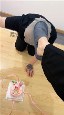 【紫琳】踩踏蛋糕喂食-给狗过不一样的生日 JS241126-12-绳艺套路资源网