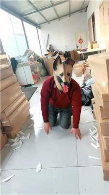 【小原妈妈】彻底训化人形犬 JS241209-27-绳艺套路资源网