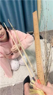 【小凤梨】闺蜜犬磕头求我虐 JS241208-62-绳艺套路资源网