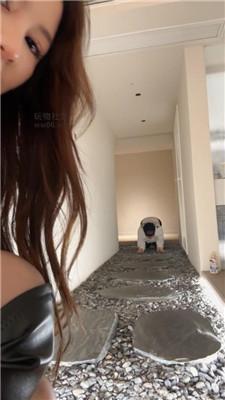 【泡芙】木乃伊捆绑犬化-喂食呕吐物/黑丝插吐 bf49011-绳艺套路资源网