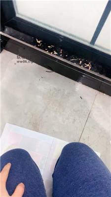 【胖虎】下跪伺候女友就寝 JS250116-39-绳艺套路资源网