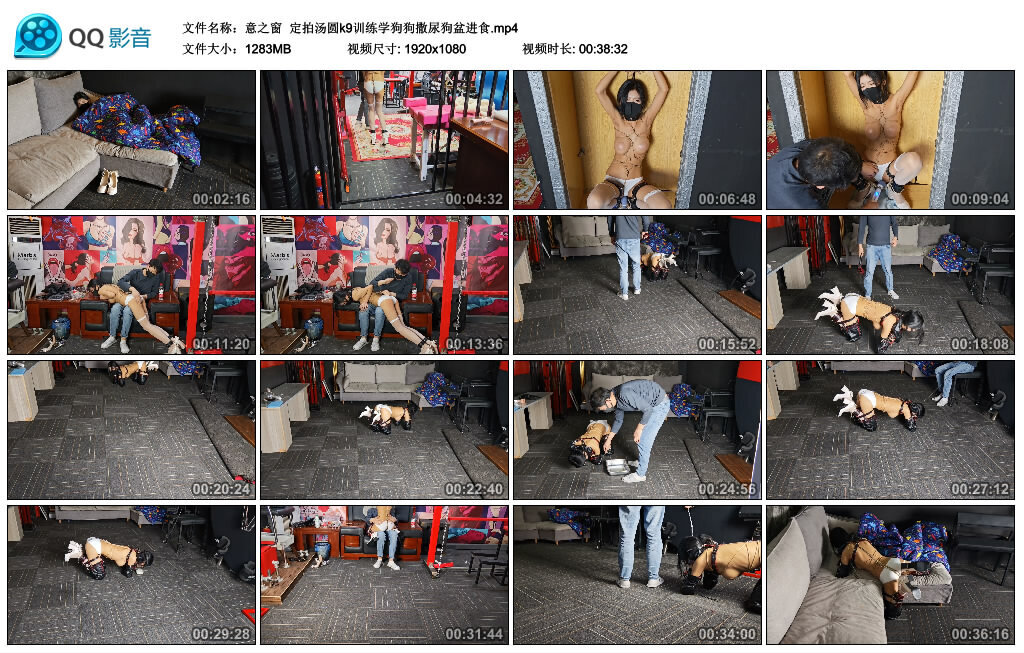 【意之窗】定拍汤圆k9训练学狗狗撒尿狗盆进食-绳艺套路资源网