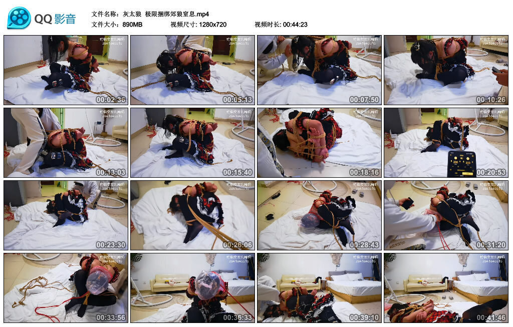 【灰太狼】极限捆绑郊狼窒息-绳艺套路资源网