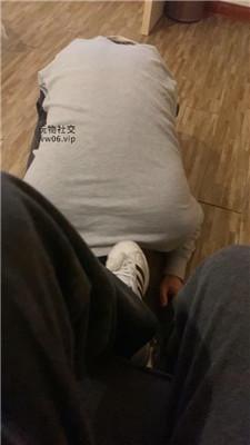 【妮妮大大】超臭原味白棉袜气味辱家奴 JS250117-33-绳艺套路资源网