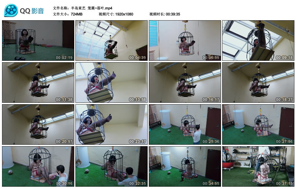 【半岛束艺】笼震~落叶-绳艺套路资源网